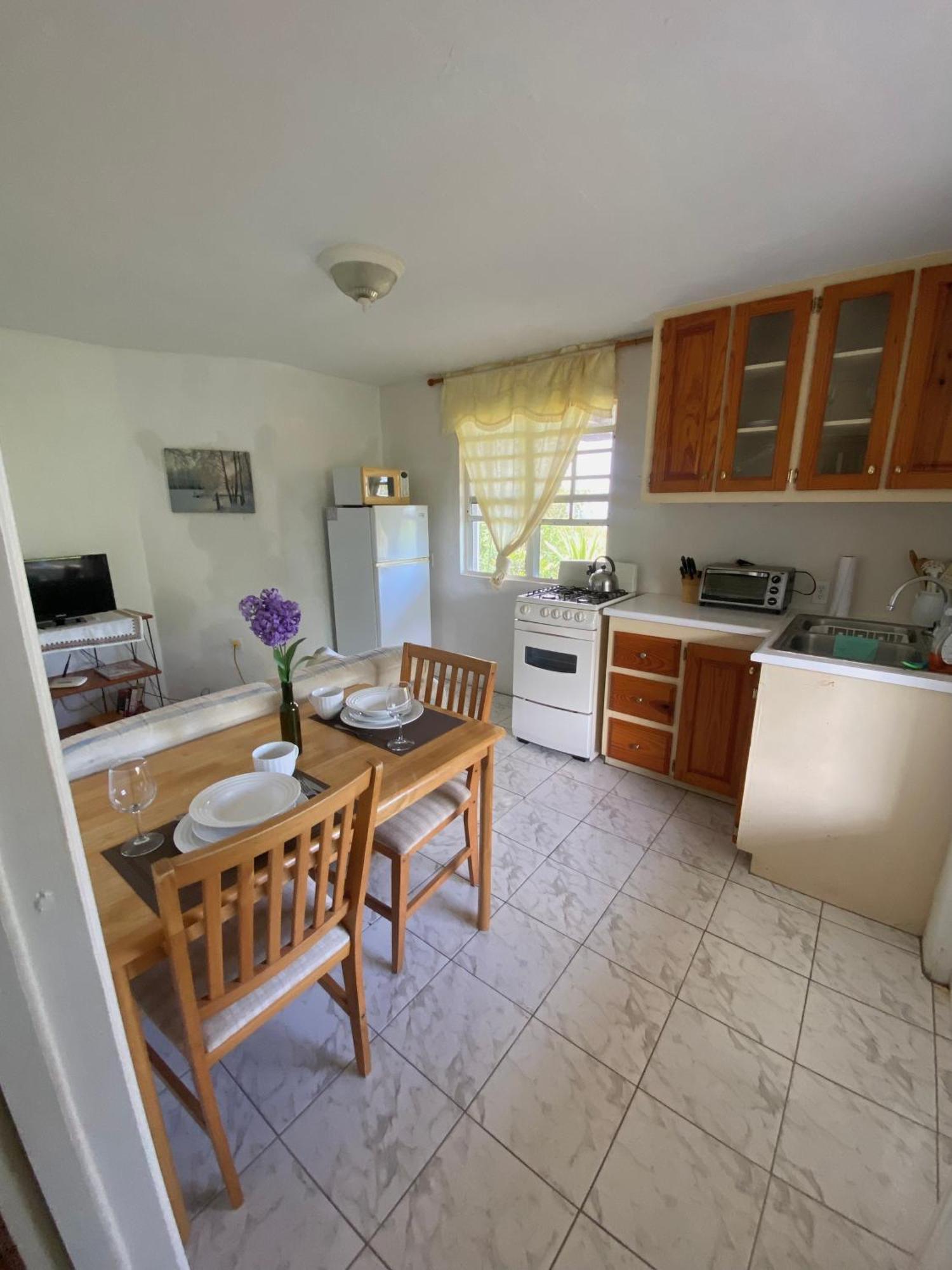 Coconut House Charlestown Nevis Appartement Buitenkant foto