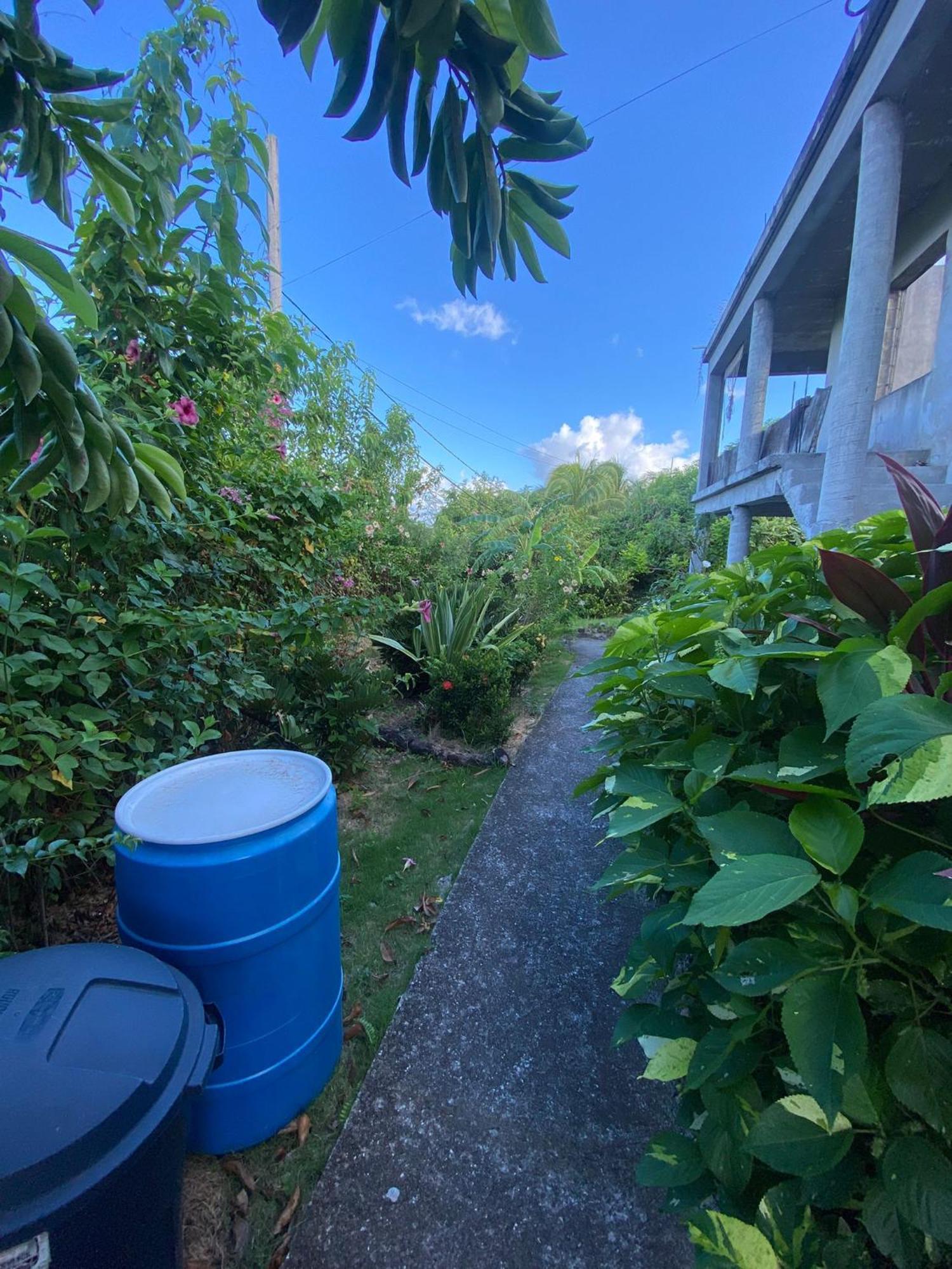 Coconut House Charlestown Nevis Appartement Buitenkant foto