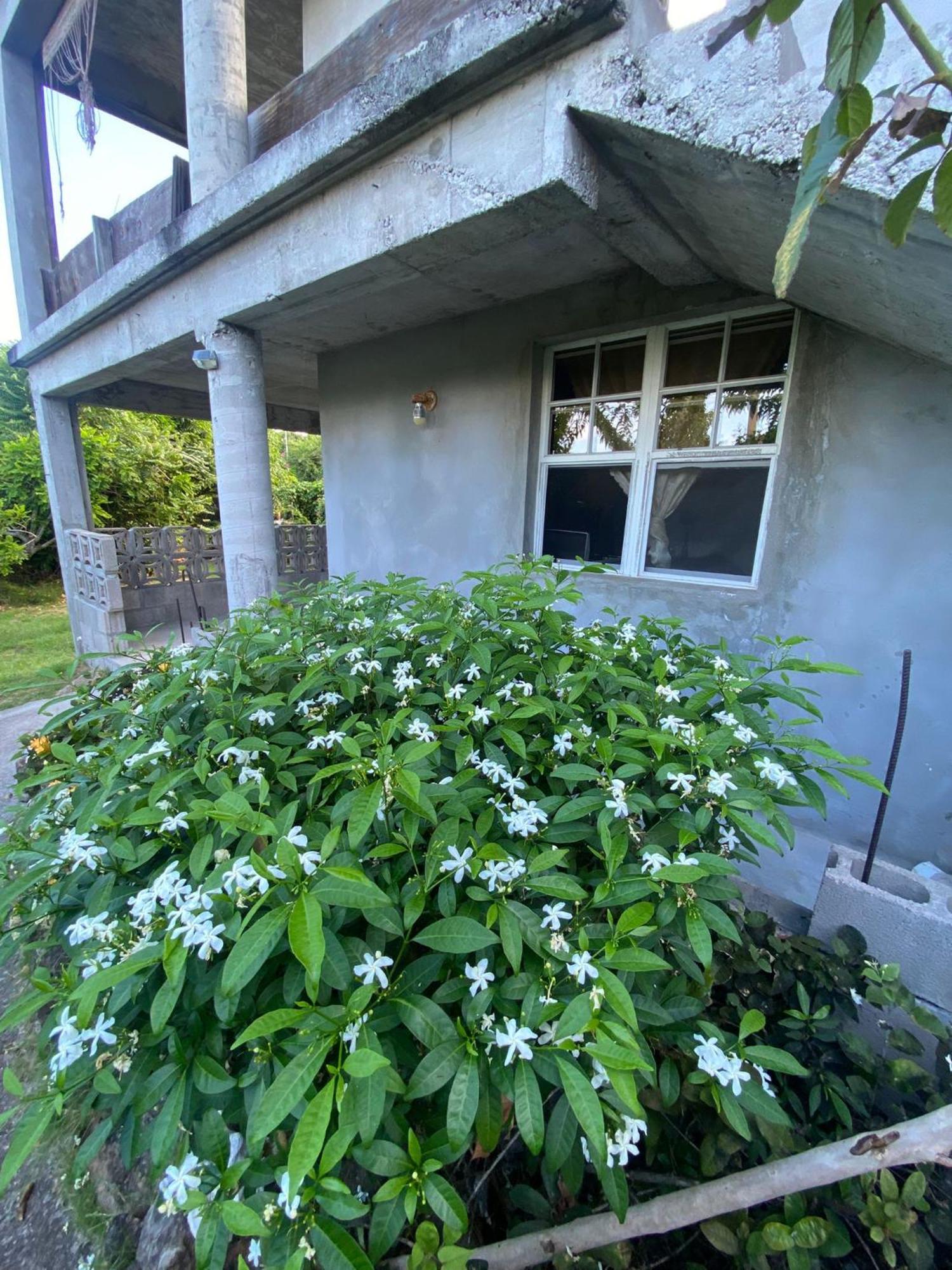 Coconut House Charlestown Nevis Appartement Buitenkant foto