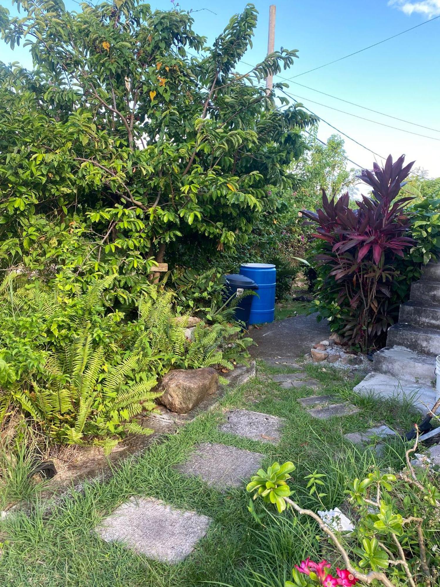 Coconut House Charlestown Nevis Appartement Buitenkant foto