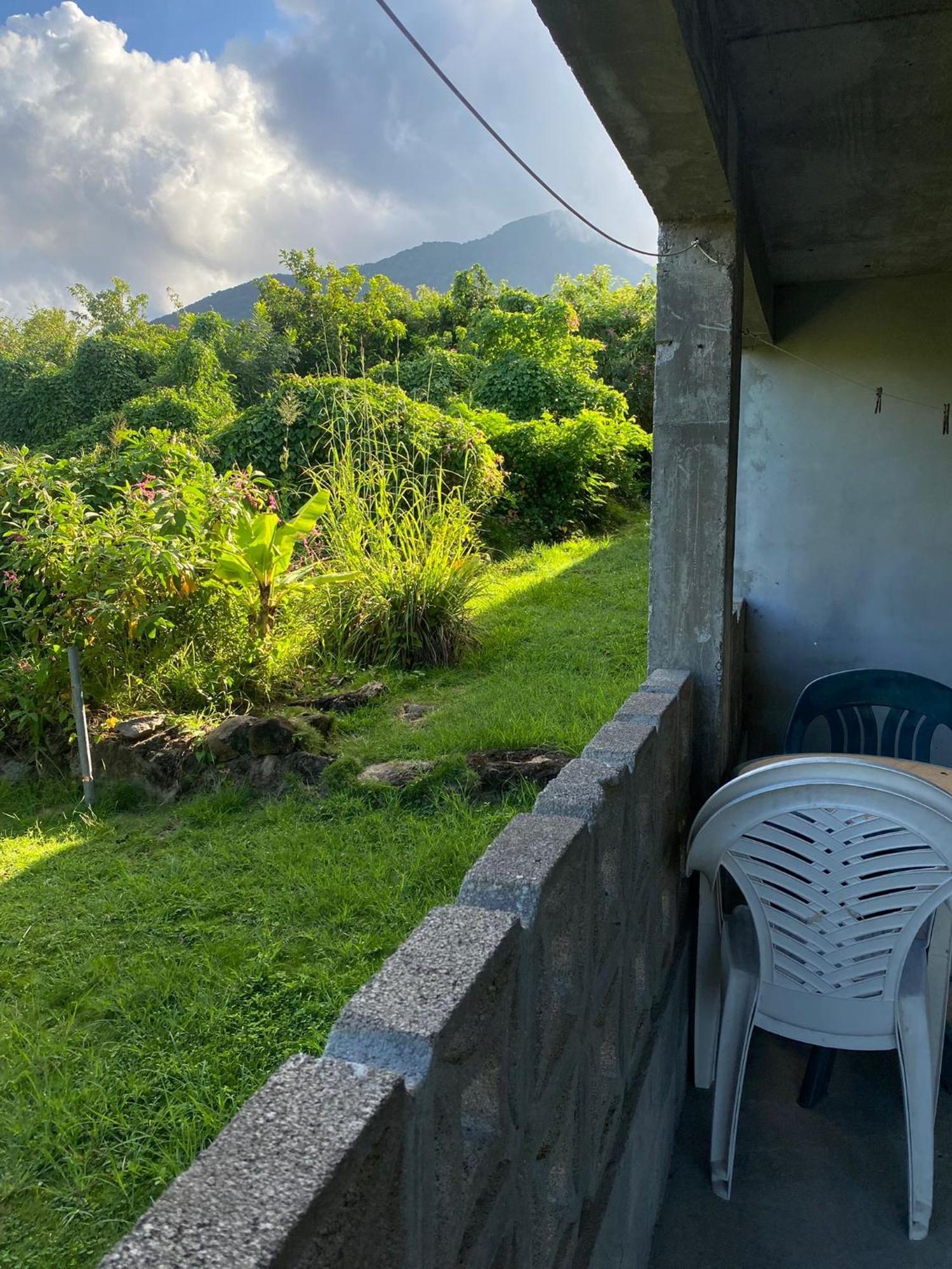 Coconut House Charlestown Nevis Appartement Buitenkant foto