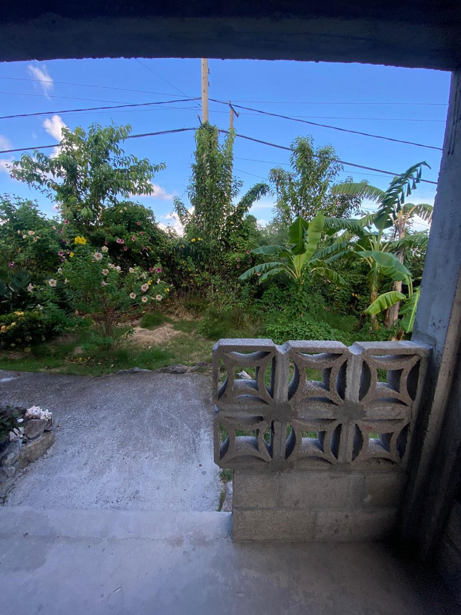 Coconut House Charlestown Nevis Appartement Buitenkant foto